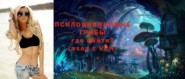mdma Богданович