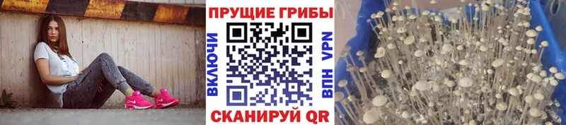 Псилоцибиновые грибы мухоморы omg онион Нижний Тагил
