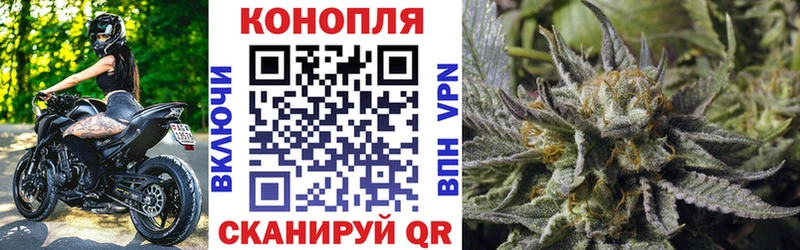 купить   Нижний Тагил  Бошки Шишки семена 